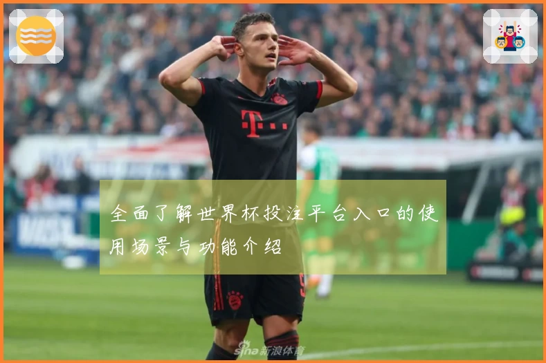 全面了解世界杯投注平台入口的使用场景与功能介绍