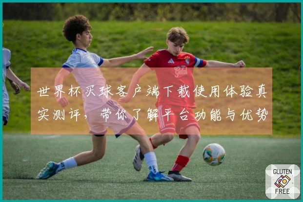 世界杯买球客户端下载使用体验真实测评,带你了解平台功能与优势