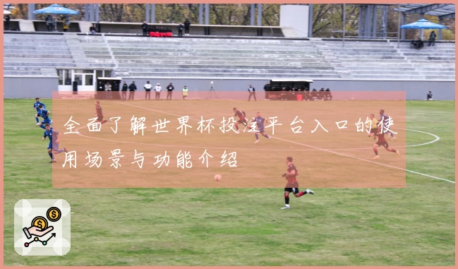 全面了解世界杯投注平台入口的使用场景与功能介绍