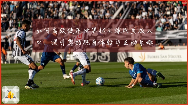 如何高效使用世界杯买球网页版入口，提升您的观看体验与互动乐趣