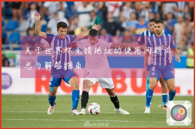 关于世界杯竞猜地址的使用问题汇总与解答指南