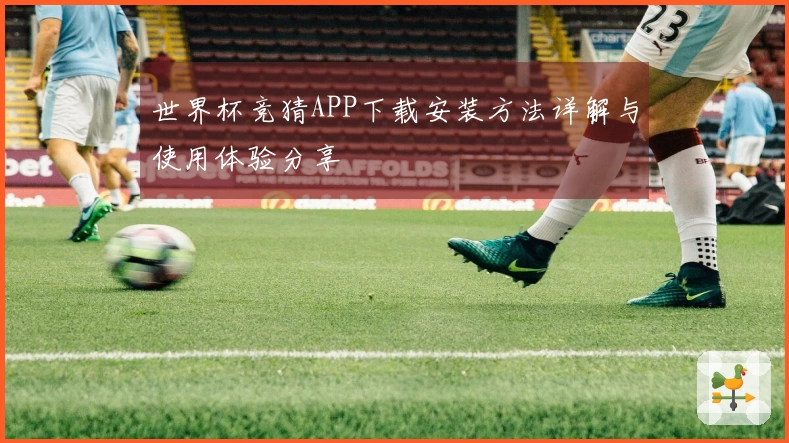 世界杯竞猜APP下载安装方法详解与使用体验分享