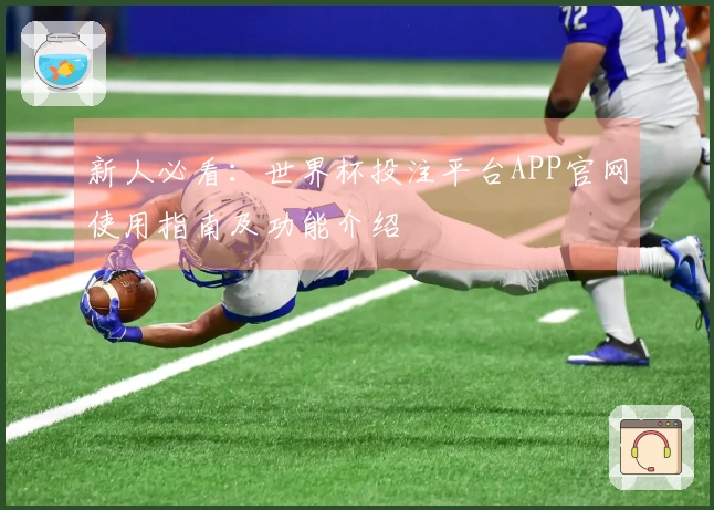 新人必看：世界杯投注平台APP官网使用指南及功能介绍